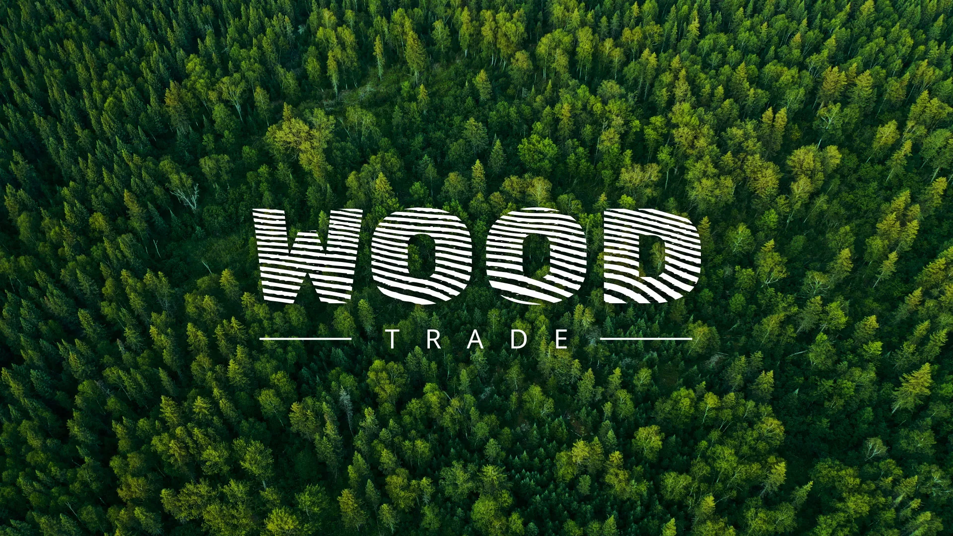 Разработка интернет-магазина компании «Wood Trade» в Сорске